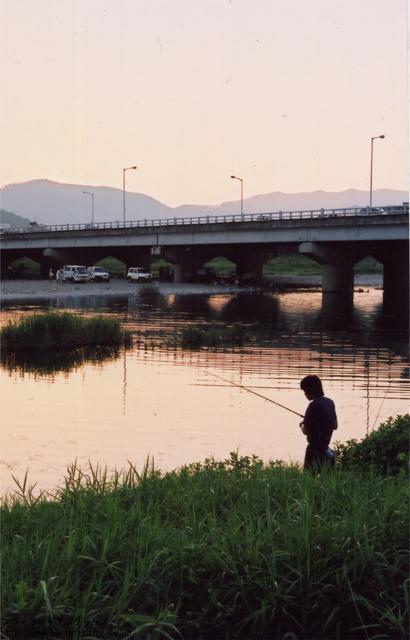 韓国、コウライオヤニラミ釣行記２